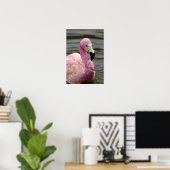 Een foto in gevangenschap van een Andes Flamingo Poster (Thuiskantoor)