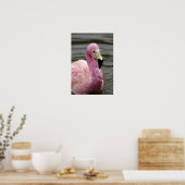 Een foto in gevangenschap van een Andes Flamingo Poster (Keuken)