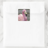Een foto in gevangenschap van een Andes Flamingo Vierkante Sticker (Tas)