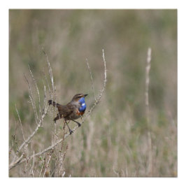 Een foto van de gorgeblinder perfect poster