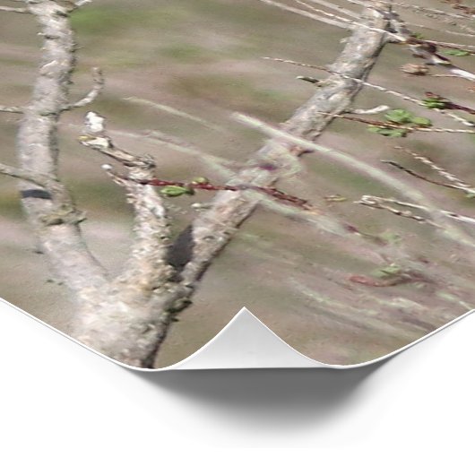 Een foto van de gorgeblinder perfect poster (Hoek)