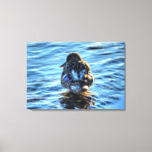 Een foto van een Winter Mallard Fine-Art Wildlife Canvas Afdruk (Voorkant)