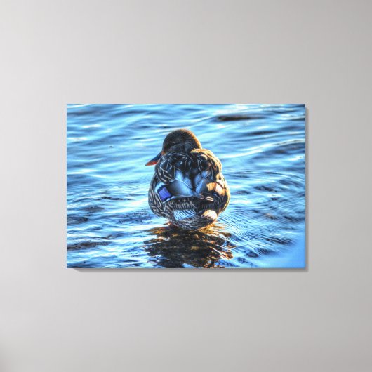 Een foto van een Winter Mallard Fine-Art Wildlife Canvas Afdruk (Voorkant)