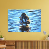 Een foto van een Winter Mallard Fine-Art Wildlife Canvas Afdruk (Insitu (Woonkamer))