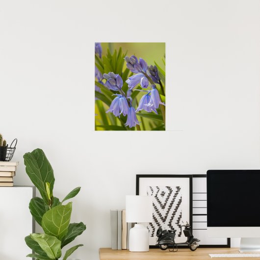 Een foto van het Engelse Poster Bluebells/Print (Thuiskantoor)