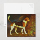 Een Foxhound, Ringwod door George Stubbs Briefkaart (Voorkant / Achterkant)