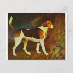 Een Foxhound, Ringwod door George Stubbs Briefkaart