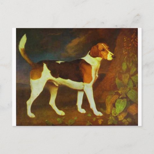 Een Foxhound, Ringwod door George Stubbs Briefkaart (Voorkant)