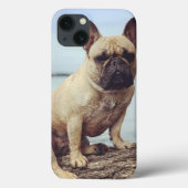 Een Franse hond Case-Mate iPhone Case (Achterkant)