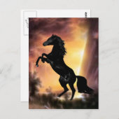 Een Friesian Stallion Hord Briefkaart (Voorkant / Achterkant)