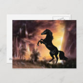 Een Friesian Stallion Hord Briefkaart (Voorkant / Achterkant)