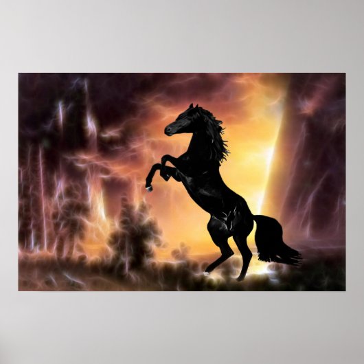 Een Friesian Stallion Hord Poster (Voorkant)