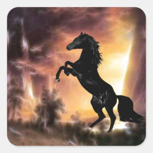 Een Friesian Stallion Hord Vierkante Sticker