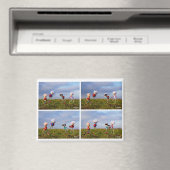 Een fubby Stripverhaal over de liefde. Magneet (Insitu (Vaatwasser))