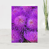 Een Fun Funky Flower Card Kaart (Voorkant)