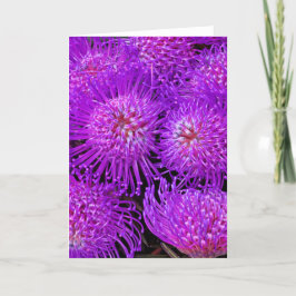 Een Fun Funky Flower Card Kaart