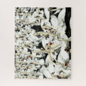 Een Gaggle van Geese Puzzle Legpuzzel (Verticaal)