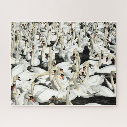 Een Gaggle van Geese Puzzle Legpuzzel (Horizontaal)