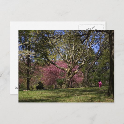 Een gang briefkaart (Voorkant / Achterkant)