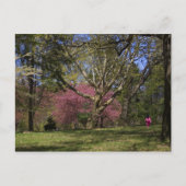 Een gang briefkaart (Voorkant)