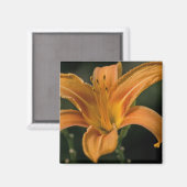 Een Garden Delight Magnet (Voorkant / Achterkant)