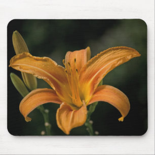 Een Garden Delight Mousepad Muismat