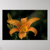 Een Garden Delight Print (Voorkant)