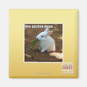 Eén Garden Down � Magneet
