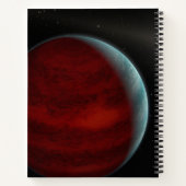 Een gasreus rond een witte dwergster. notitieboek (Achterkant)