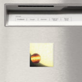 Een gasreusachtige planeet die heel dichtbij rondd magneet (Insitu (Vaatwasser))