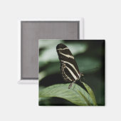 Een gebalanceerd maalmagneet magneet (Voorkant / Achterkant)