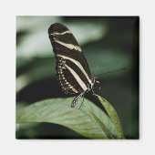 Een gebalanceerd maalmagneet magneet (Voorkant)