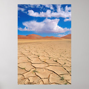 Een gebarsten woestijnvlakte poster