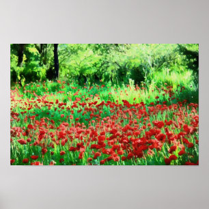 Een gebied met rode wilde bloemen poster