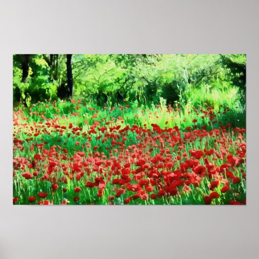 Een gebied met rode wilde bloemen poster (Voorkant)