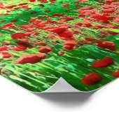 Een gebied met rode wilde bloemen poster (Hoek)