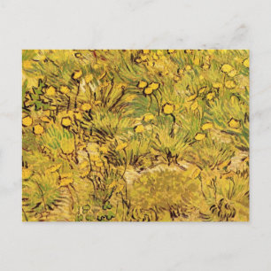 Een gebied van Gele Bloemen door Vincent van Gogh Briefkaart