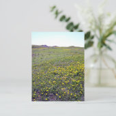 Een gebied van het Briefkaart van Dandelions (Staand voorkant)