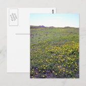 Een gebied van het Briefkaart van Dandelions (Voorkant / Achterkant)