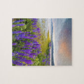 Een gebied van Lupine-wilde bloemen op de Noordkus Legpuzzel (Horizontaal)