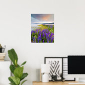 Een gebied van Lupine-wilde bloemen op de Noordkus Poster (Thuiskantoor)