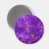 Een gebied van Paarse kruisingen Magneet (Voorkant / Achterkant)