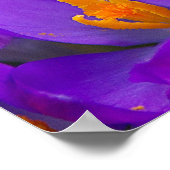 Een gebied van Paarse kruisingen Poster (Hoek)