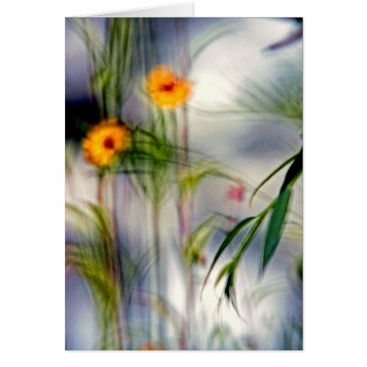 Een gebrek aan focus-bloemen (Voorkant)