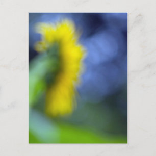 Een gebrek aan focus-zonnebloem briefkaart