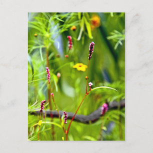 Een gebrek aan focusvrije bloemen briefkaart