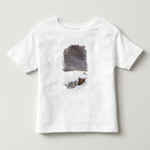 Een gebroken hek langs een sneeuwdek kinder shirts