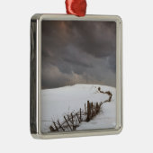 Een gebroken hek langs een sneeuwdek metalen ornament (Rechts)