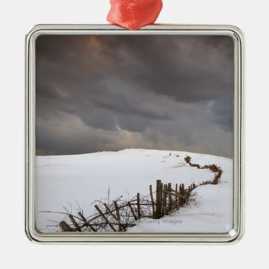 Een gebroken hek langs een sneeuwdek metalen ornament (Voorkant)