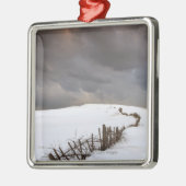 Een gebroken hek langs een sneeuwdek metalen ornament (Links)